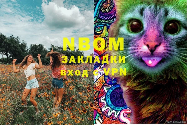 кокс Баксан