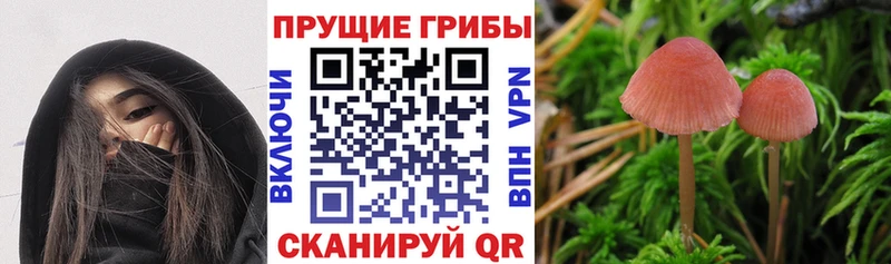 Галлюциногенные грибы мицелий  гидра tor  Радужный 